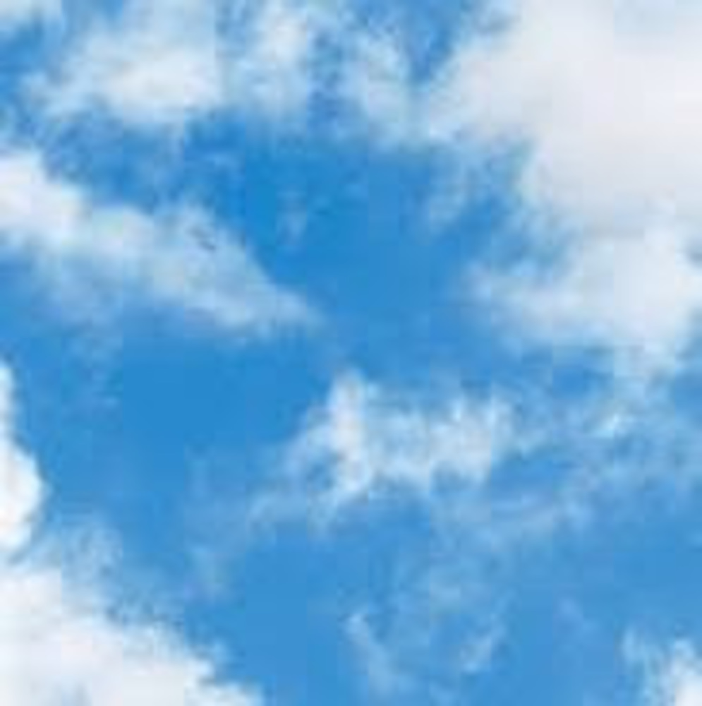 Meet your Posher, Zina